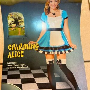 Charming Alice In Wonderland Costume